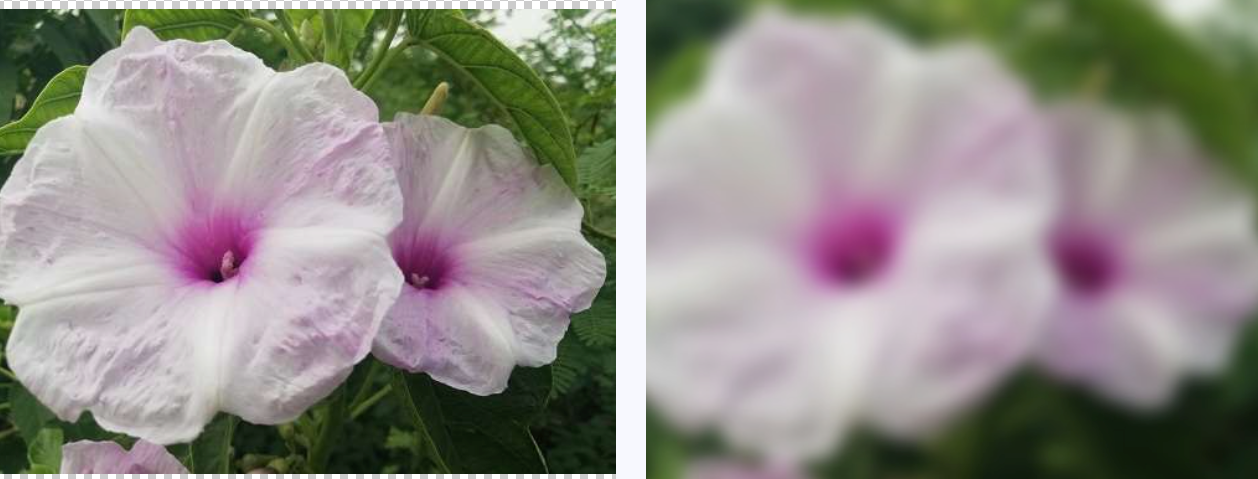 Blur Image